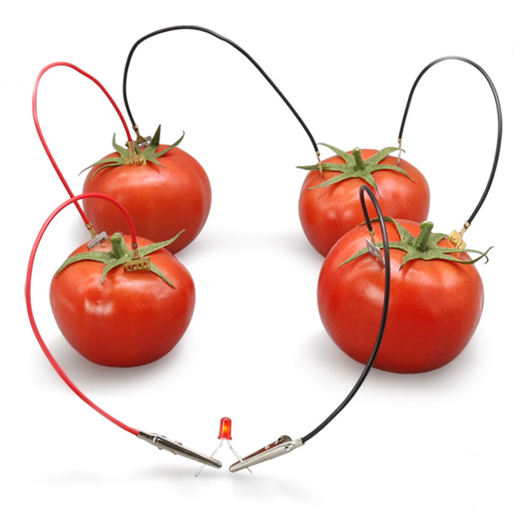 Renewable Energy For Kids - 3Sets Fruit Battery Science Experiment Kit
