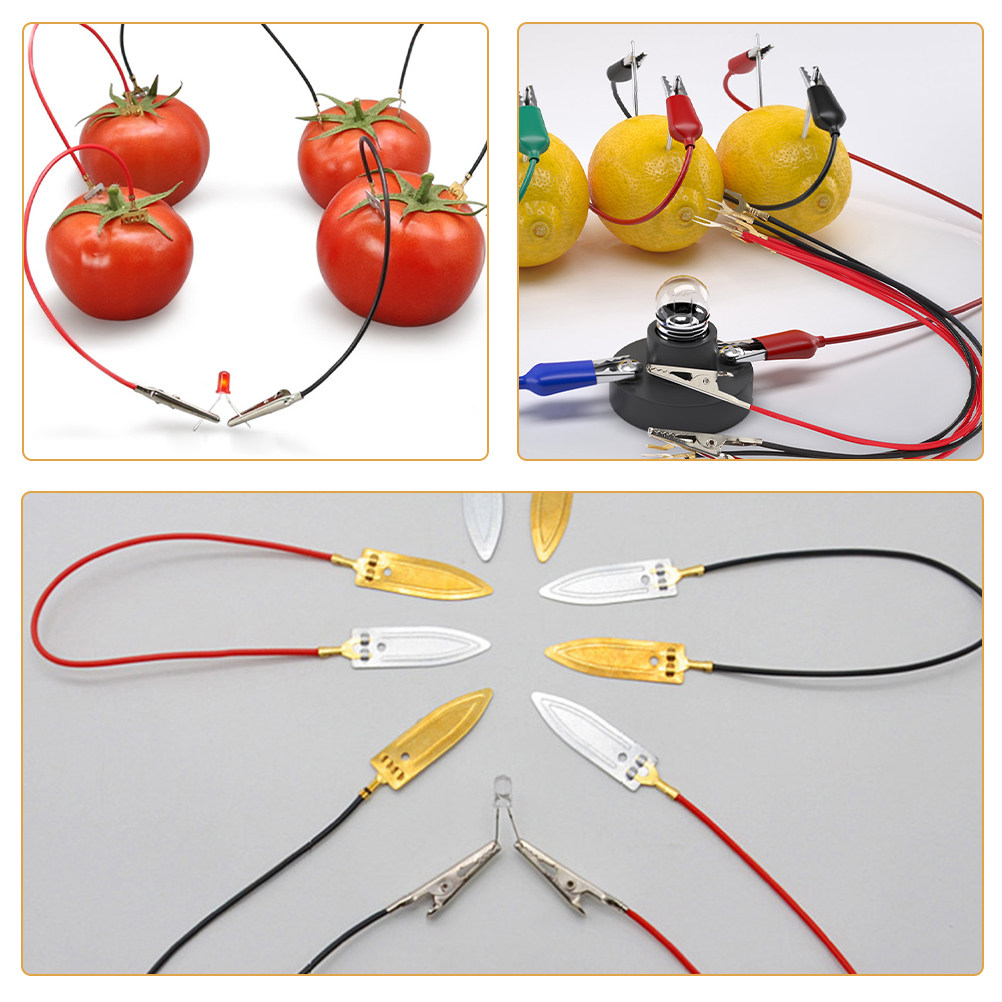 3Sets Fruit Battery Science Ex – Renewable Energy For Kids Bewertung und Preis