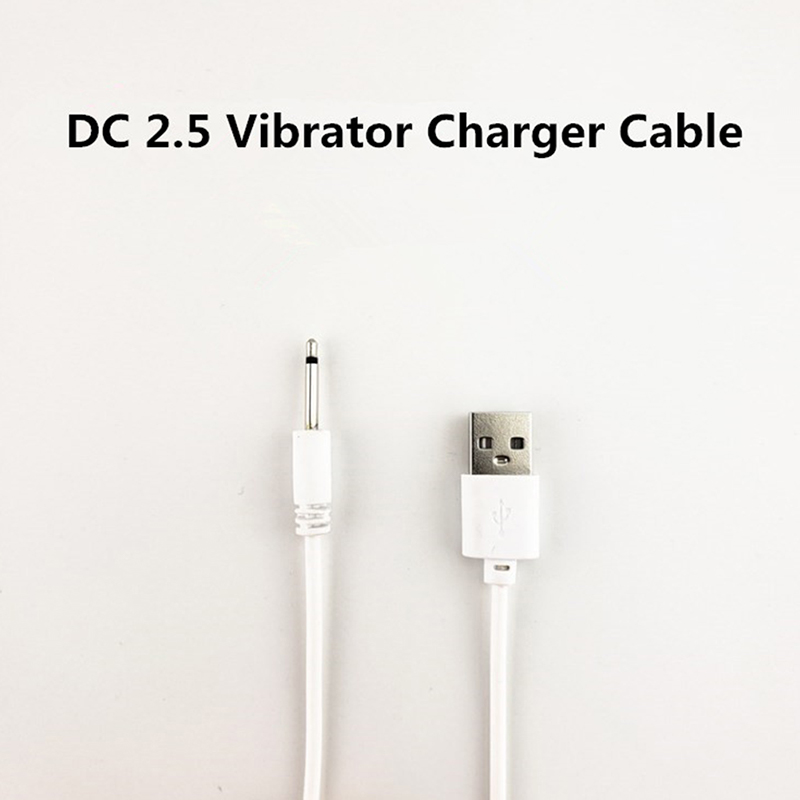 【C】Universal USB DC 2.5mm Vibr – Renewable Energy Sources Bewertung und Preis