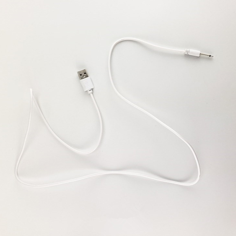 【C】Universal USB DC 2.5mm Vibr – Renewable Energy Sources Bewertung und Preis
