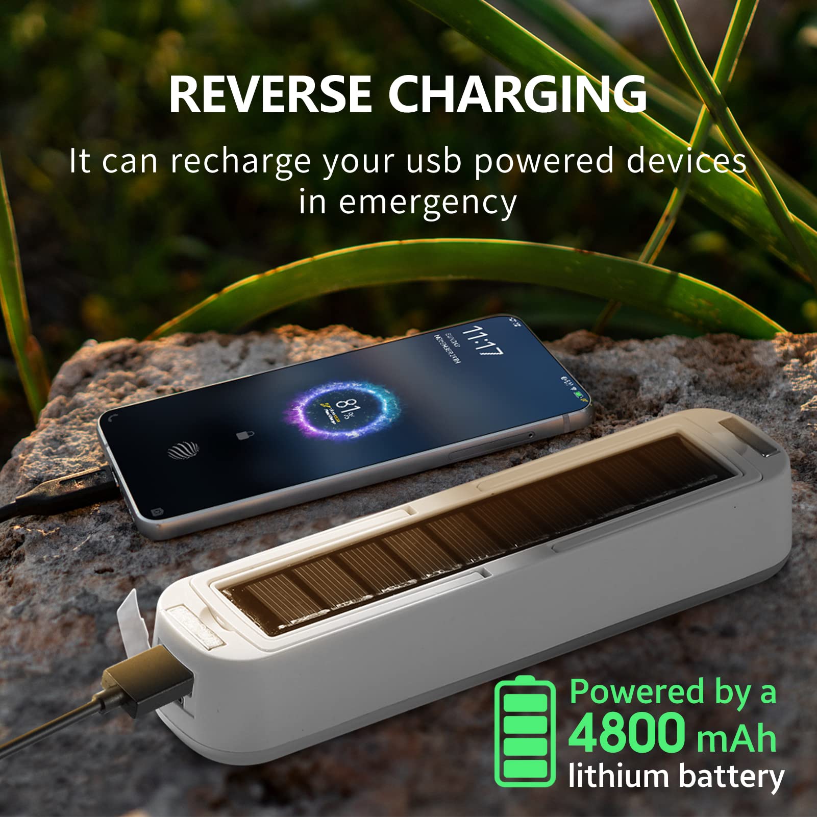 Solar Rechargeable Camping Lan – Renewable Energy Sources Bewertung und Preis